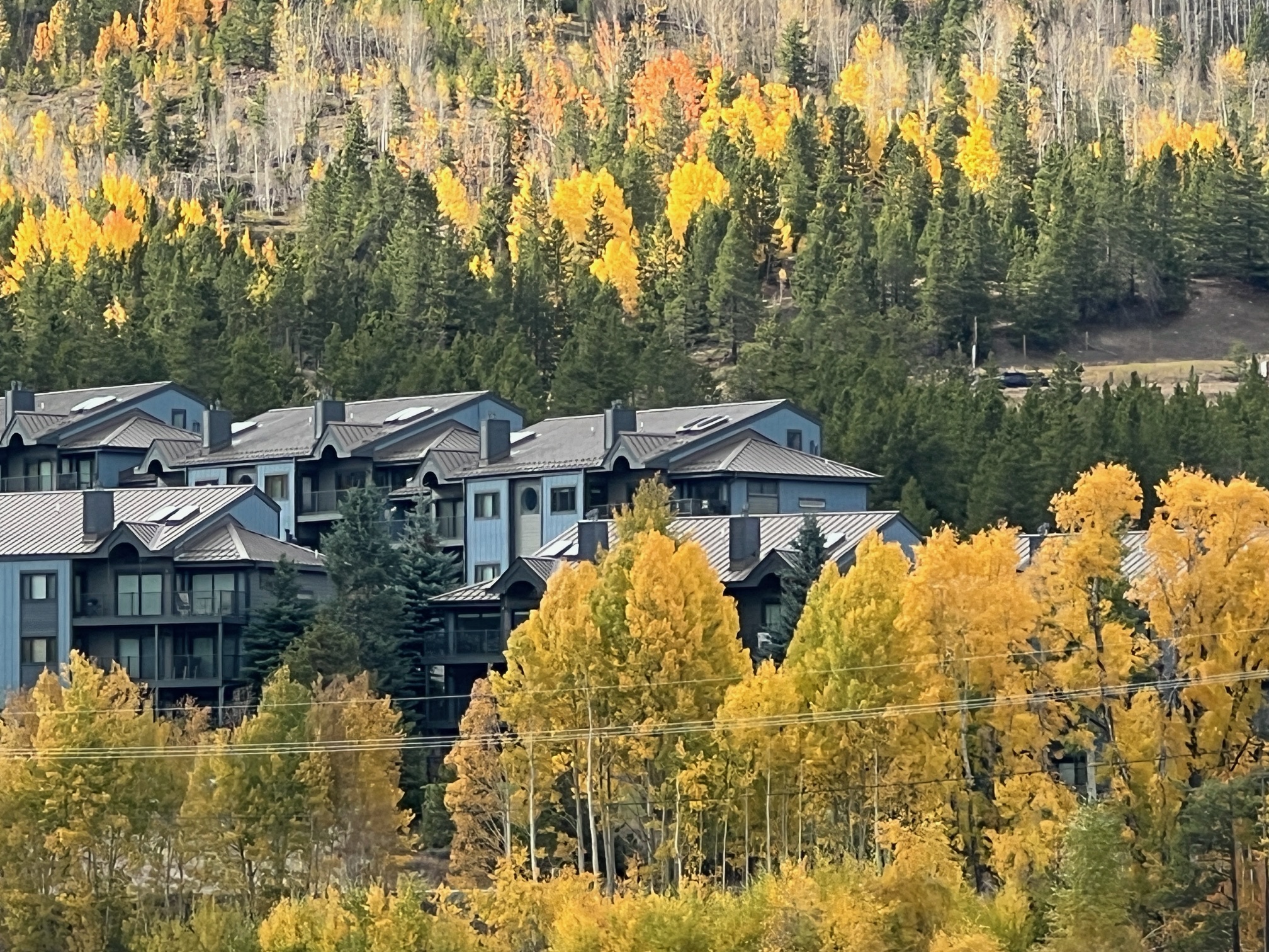 The Eyrie building exterior in autumn