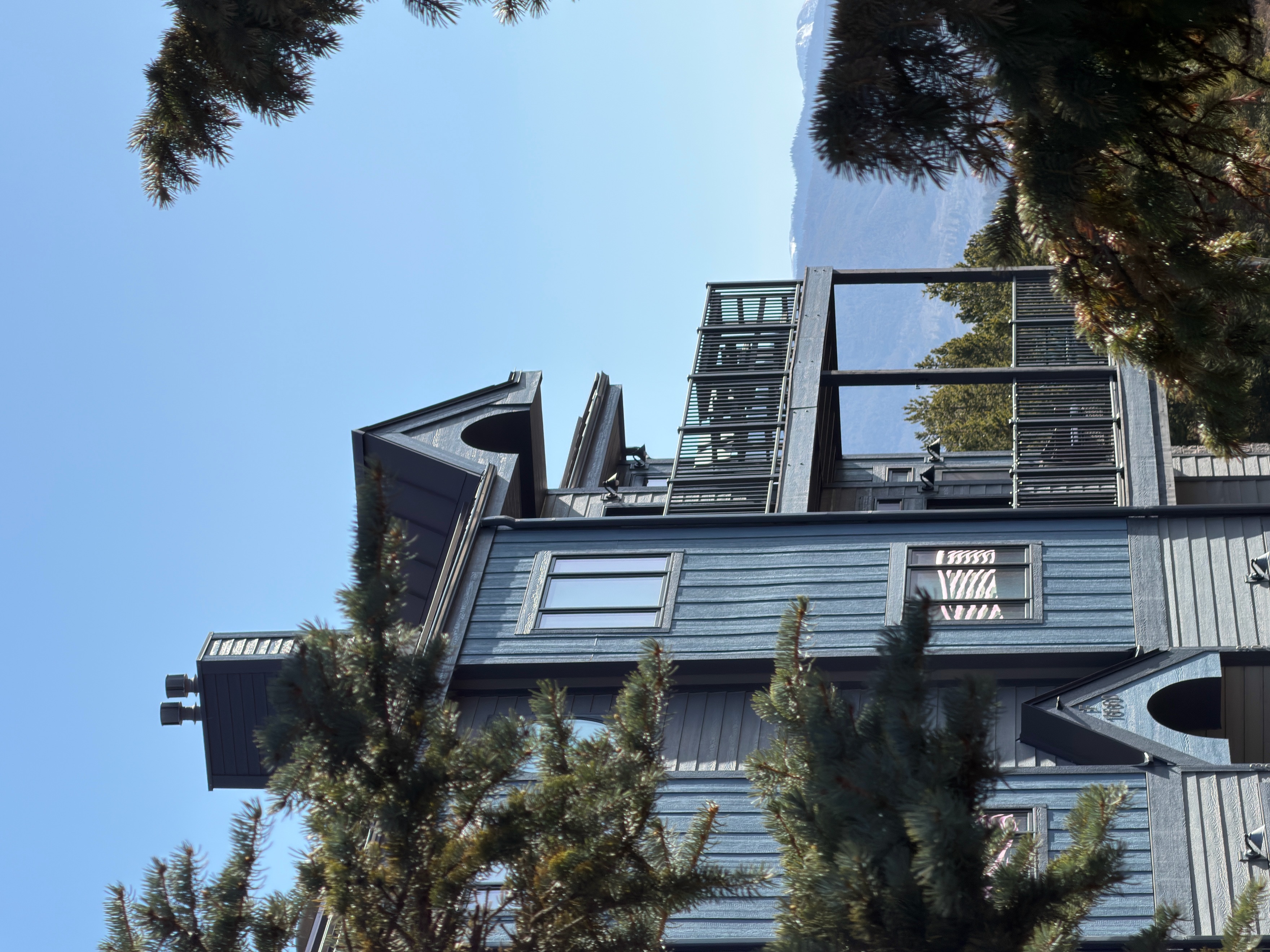 The Eyrie building exterior framed by pine trees